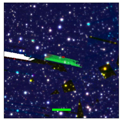 0697_049.0_contour_y