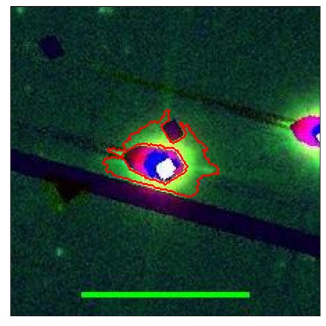 0701_025.0_contour_r