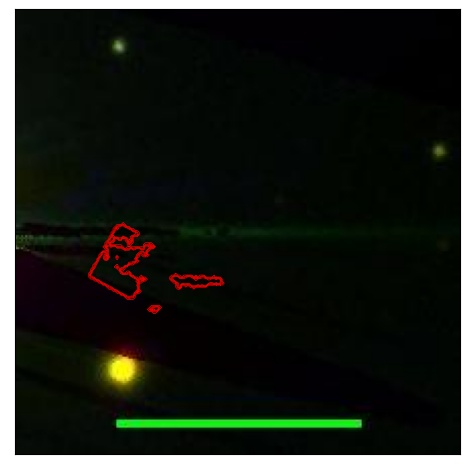 0702_021.0_contour_i