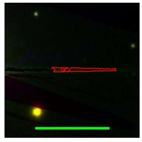 0702_021.0_contour_r