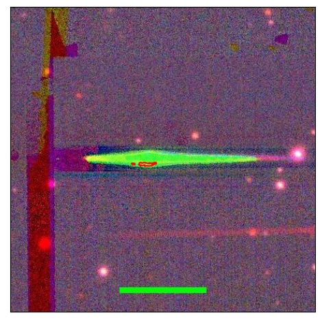 0703_024.0_contour_i