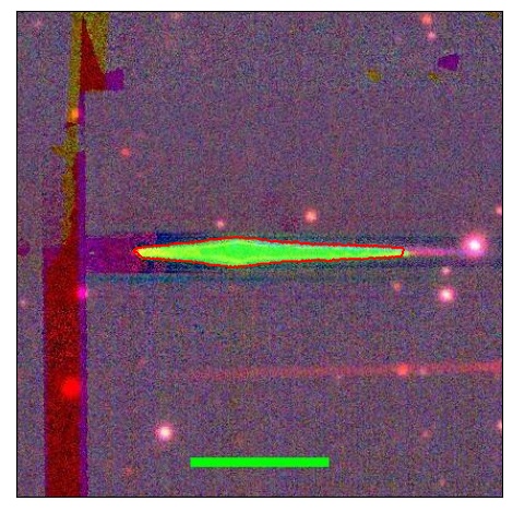 0703_024.0_contour_r