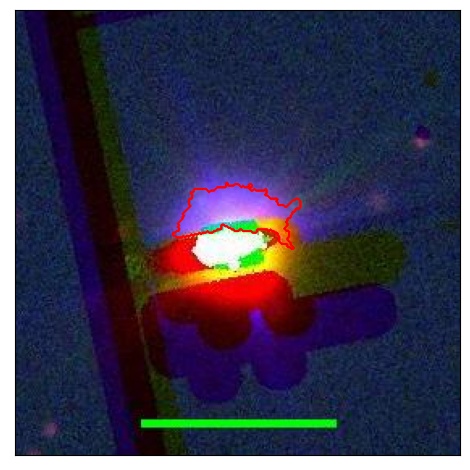 0704_010.0_contour_r