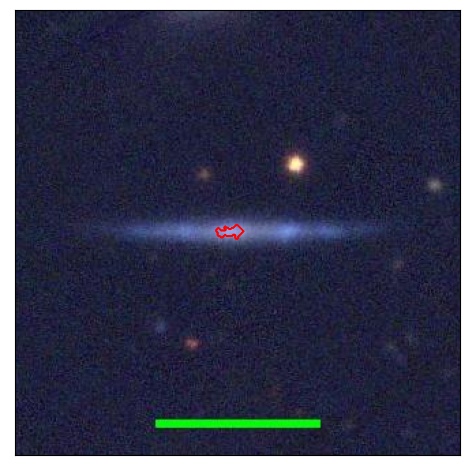 0731_031.1_contour_y