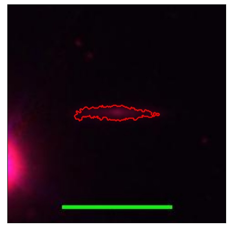 0735_007.0_contour_g