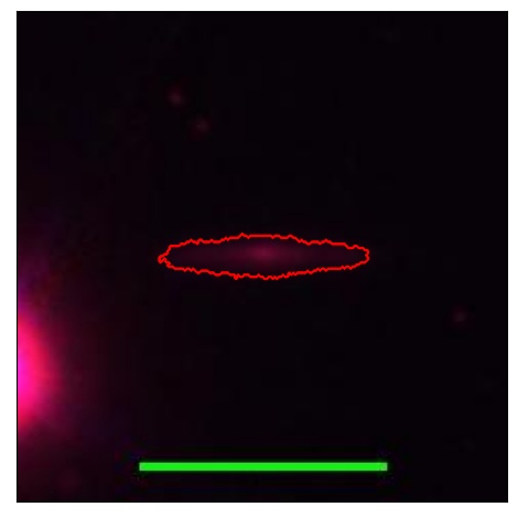 0735_007.0_contour_i