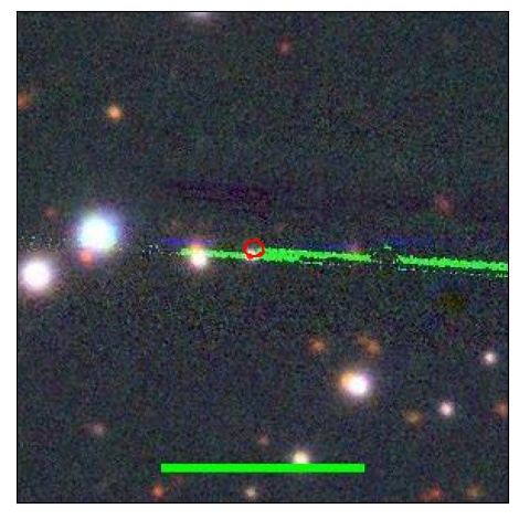 0736_046.0_contour_g