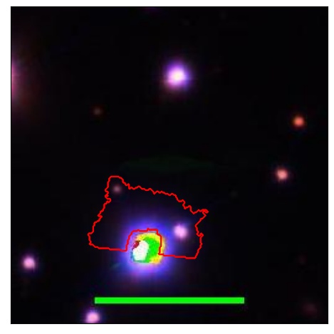 0736_051.0_contour_g