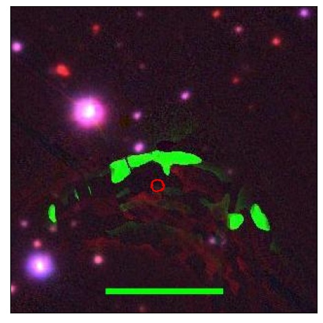 0738_032.0_contour_z