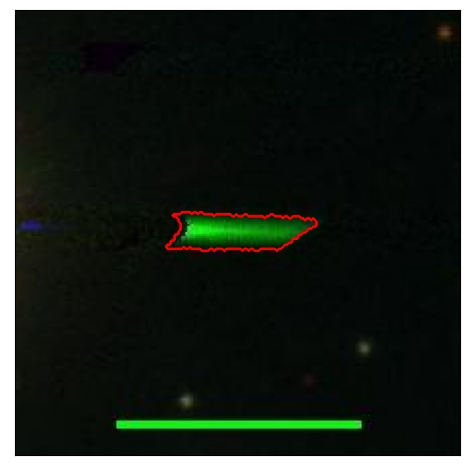 0747_041.0_contour_r