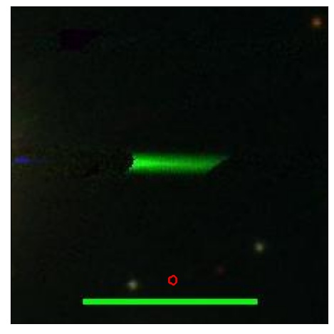 0747_041.0_contour_y