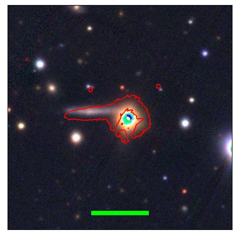 0763_005.0_contour_i