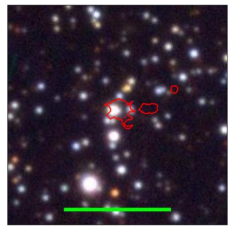 0772_038.0_contour_g