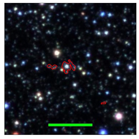 0773_005.1_contour_g