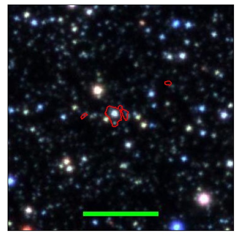 0773_005.1_contour_i