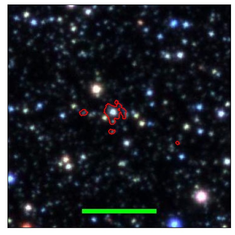 0773_005.1_contour_r