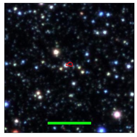 0773_005.1_contour_y