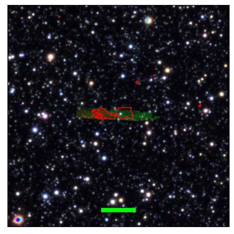 0773_008.0_contour_y