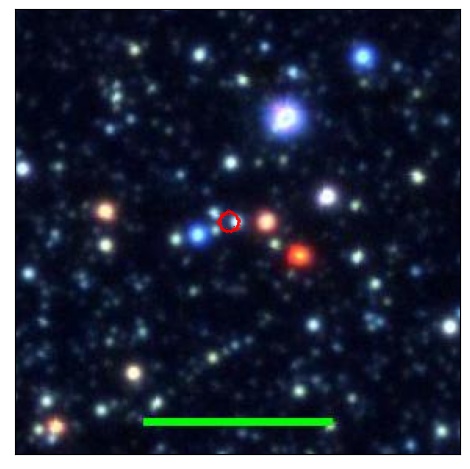 0773_013.0_contour_y