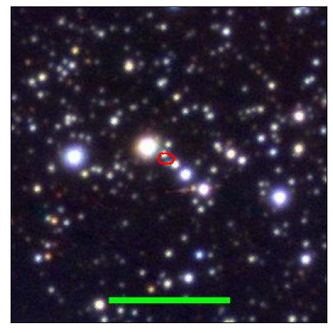 0773_079.0_contour_y