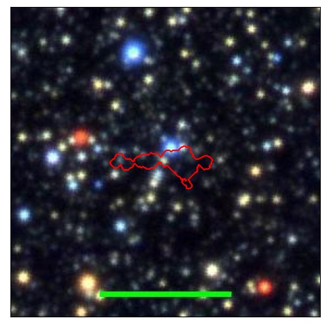 0774_019.0_contour_g