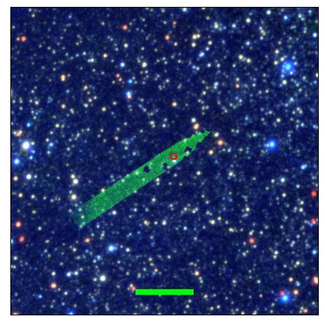 0774_041.0_contour_g