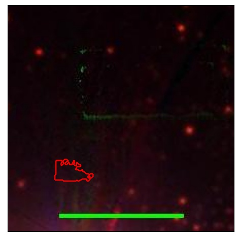 0774_099.0_contour_g