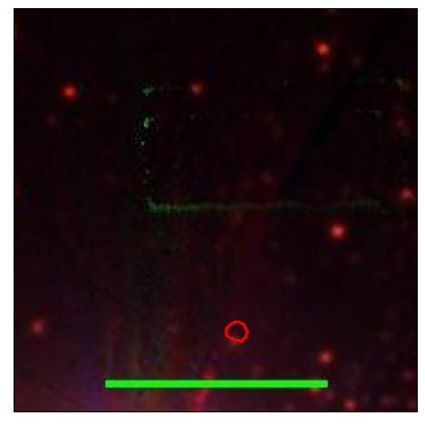 0774_099.0_contour_i