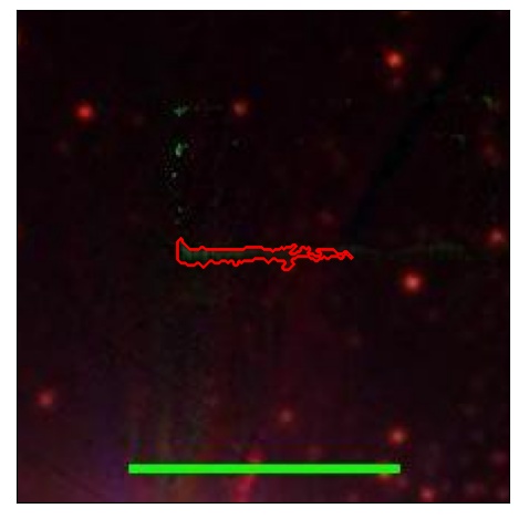 0774_099.0_contour_r