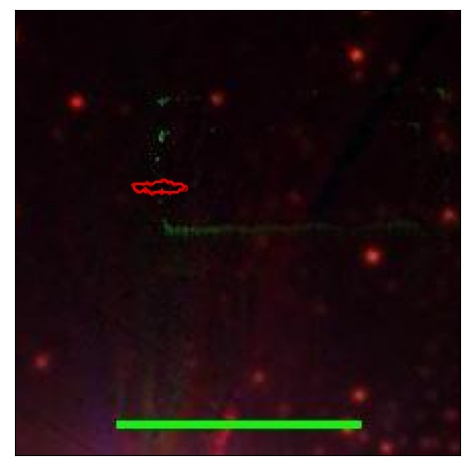 0774_099.0_contour_y