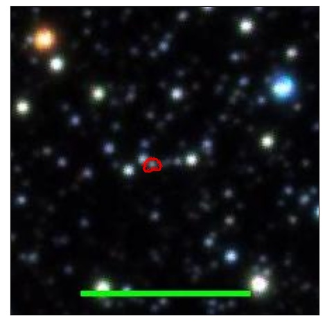 0777_082.1_contour_y