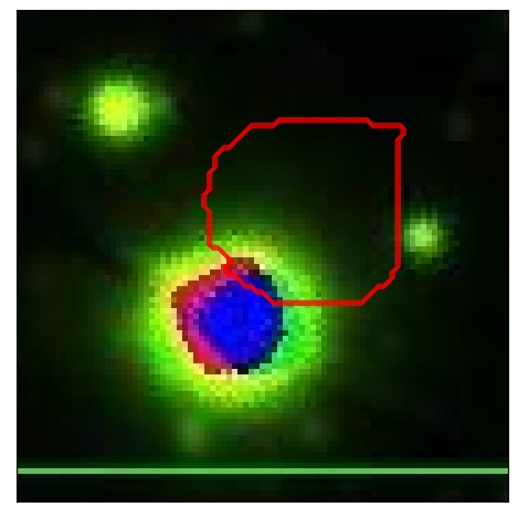 0778_035.0_contour_g