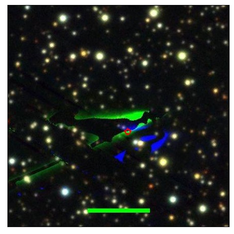 0779_099.1_contour_g