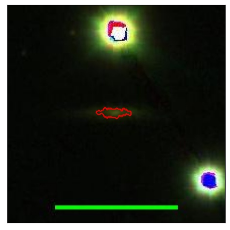 0790_010.0_contour_y