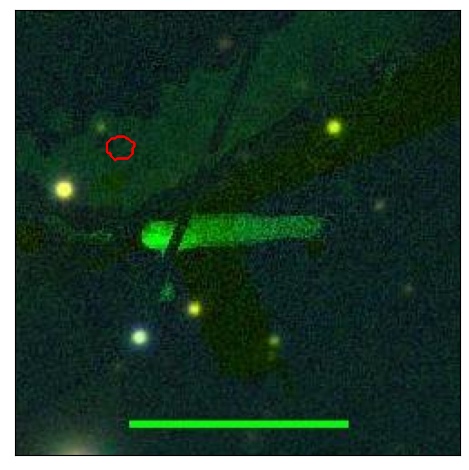 0819_022.0_contour_g