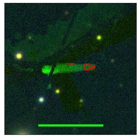 0819_022.0_contour_r