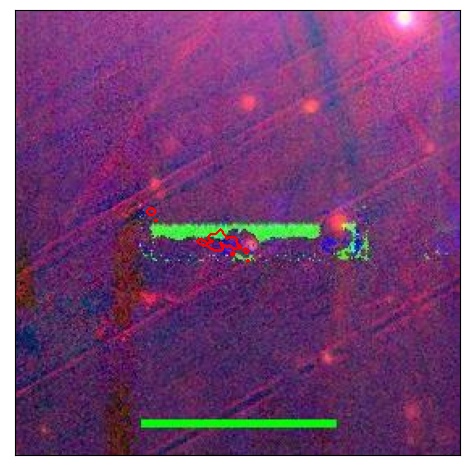 0819_024.0_contour_g