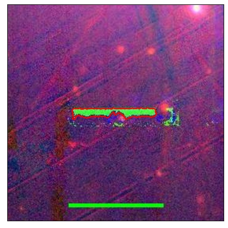 0819_024.0_contour_r