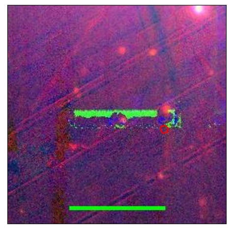 0819_024.0_contour_y