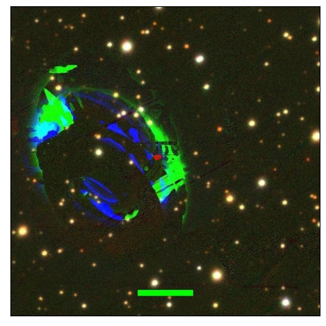 0821_016.0_contour_r