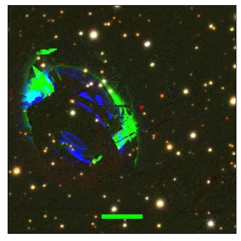 0821_016.0_contour_y