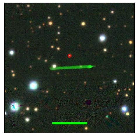 0823_008.0_contour_r