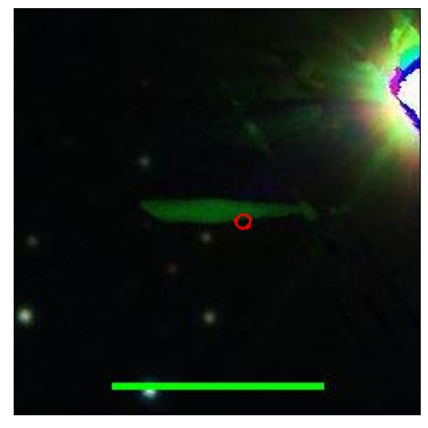 0826_055.0_contour_i