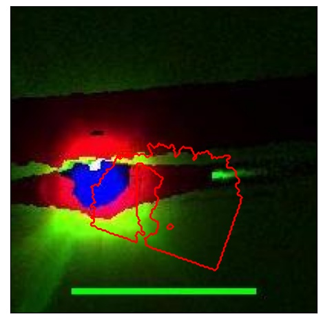 0835_018.0_contour_g