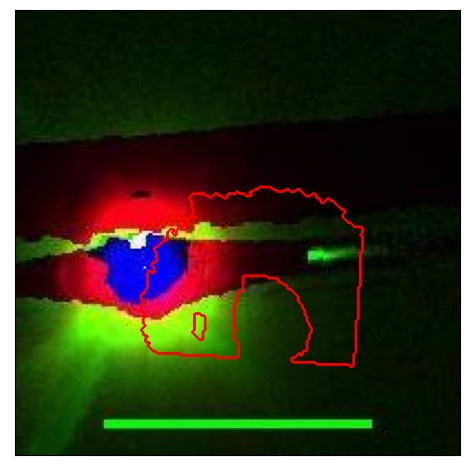 0835_018.0_contour_i