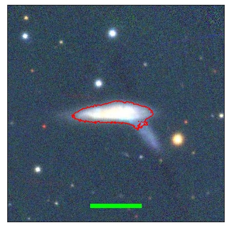 0843_005.1_contour_r