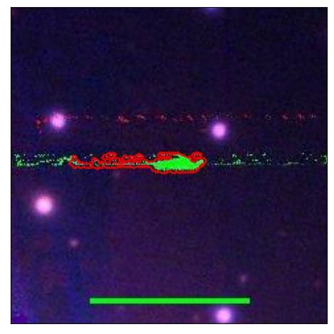 0851_006.1_contour_r