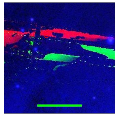 0852_070.0_contour_g