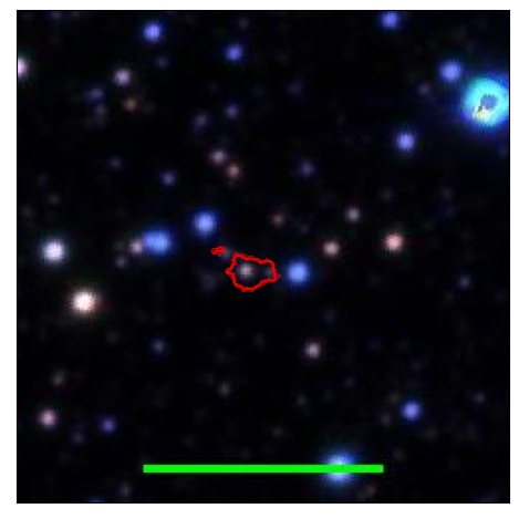 0860_061.0_contour_y