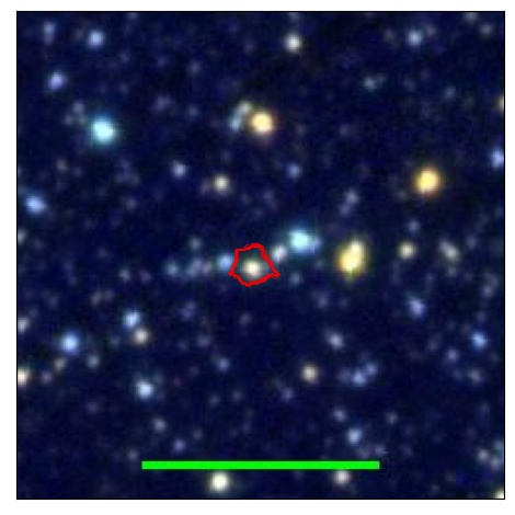 0860_081.1_contour_r